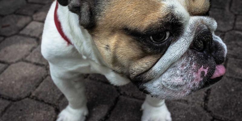 工业设备48：掘金二手挖掘机市场的机遇与策略