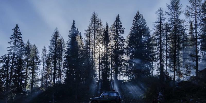 工业设备交易指南：挖掘机与起重机的选购策略与市场洞察