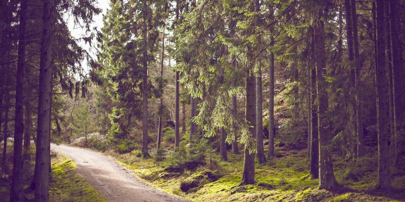 工业设备交易指南：挖掘机选购、二手设备买卖全解析