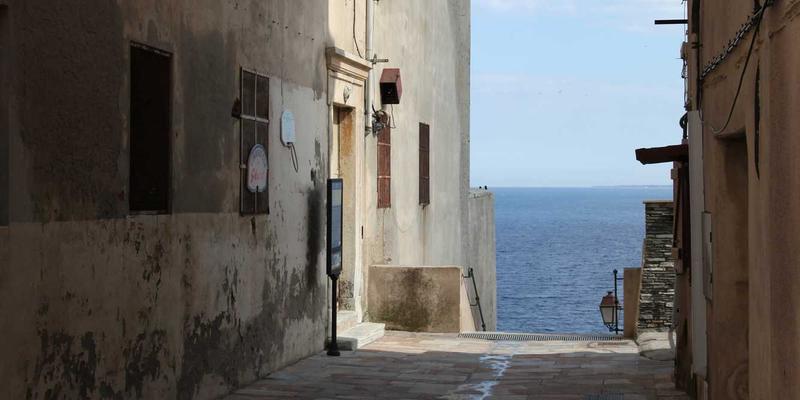 工业设备交易新趋势：挖掘机与起重机的市场洞察与选购指南