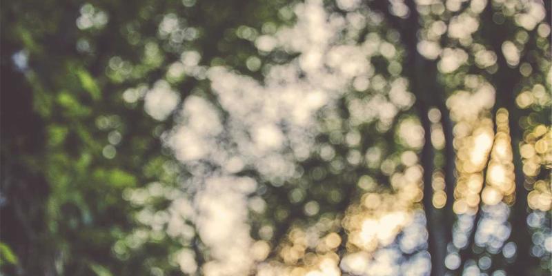 工业设备交易新趋势：挖掘机市场分析与采购指南