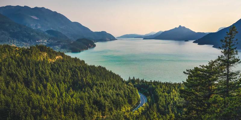 工业设备入门指南：二手设备交易与挖掘机选购全解析