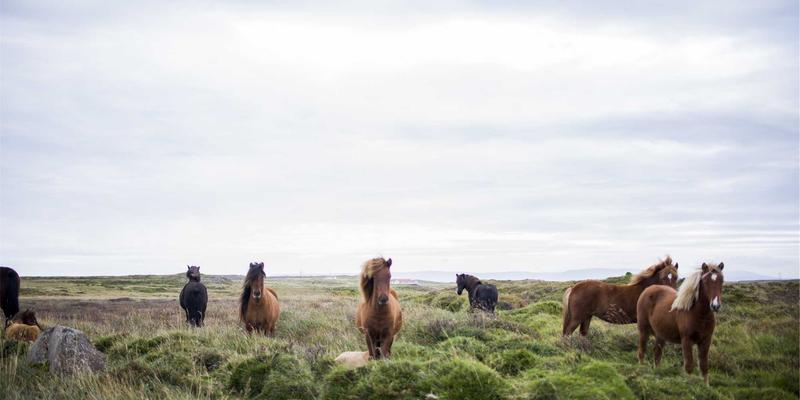 工业设备润滑管理最佳实践：提升设备交易价值与租赁可靠性的关键策略