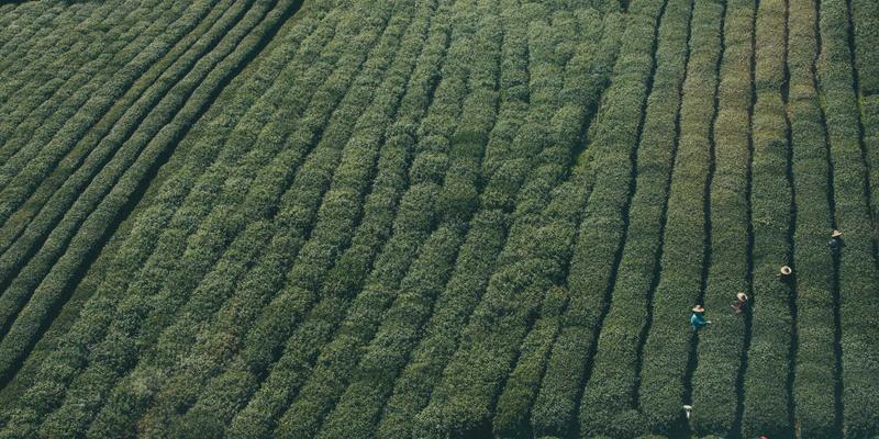 工业设备现场安装与调试标准化流程：以挖掘机租赁为例，保障高效安全作业