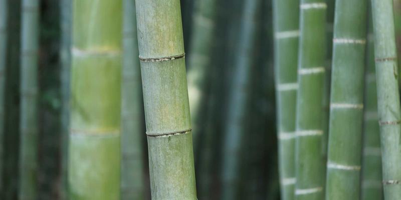 工业设备租赁新趋势：以起重机为例解析灵活解决方案