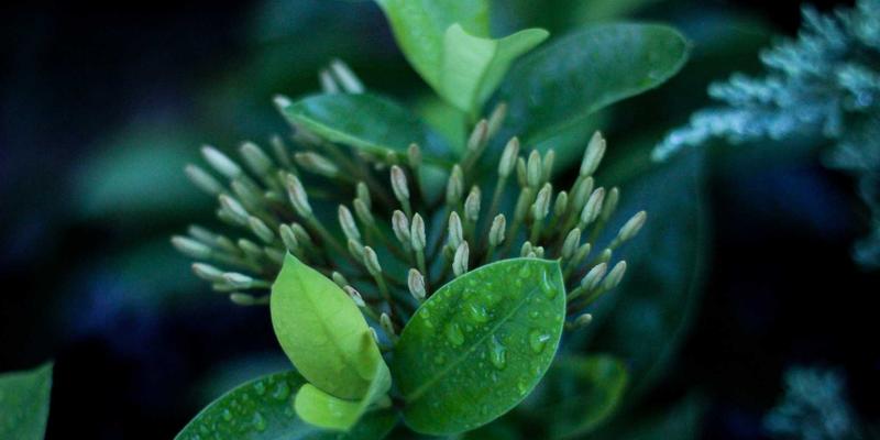 工业设备租赁新趋势：起重机与叉车的灵活解决方案如何赋能现代企业