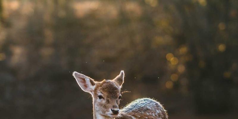 工业设备自动化升级改造：如何让传统机床与二手挖掘机变智能？