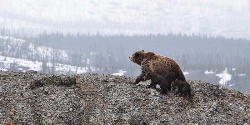 工业设备节能改造：从空压机、泵站到起重机与叉车的能效提升与设备买卖策略