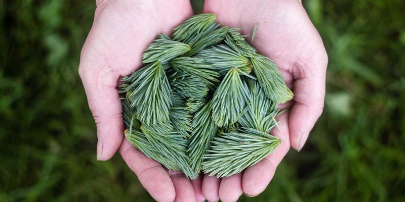 设备租赁 vs 设备买卖：工业设备全生命周期成本分析与优化策略