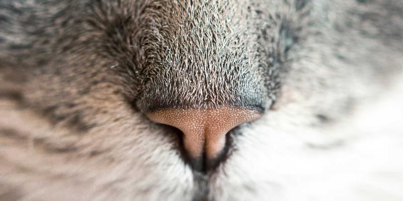 起重机设备全生命周期成本计算指南：买还是租？精明决策的关键